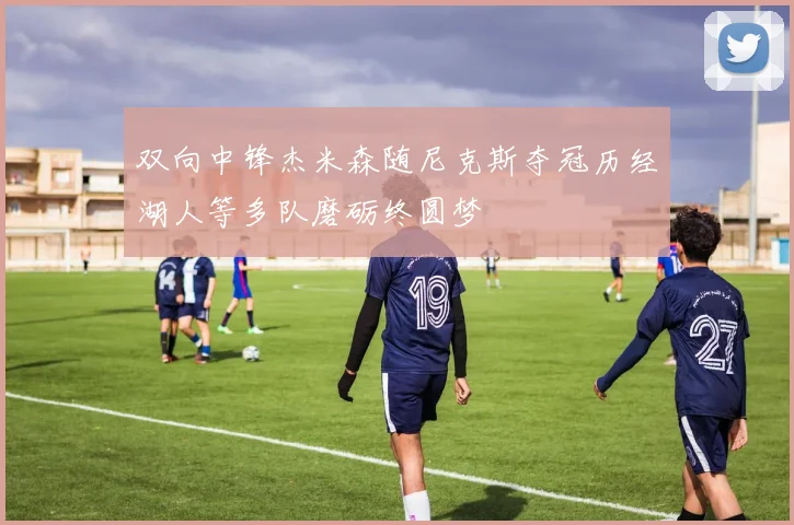 双向中锋杰米森随尼克斯夺冠历经湖人等多队磨砺终圆梦